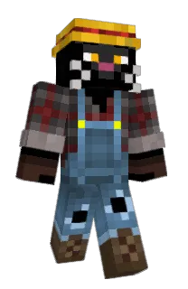 Front of Sunert's skin