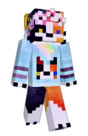 Skin preview