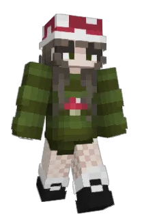 Front of fairysaar's skin