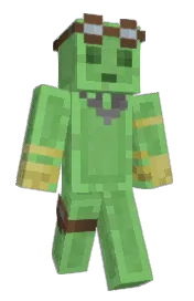 Skin preview