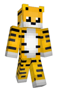 Front of koreiyn's skin