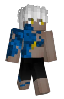 Front of Voycge's skin