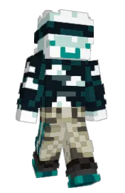 Skin preview