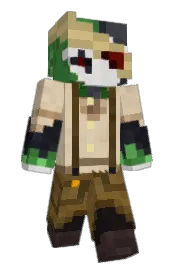 Skin preview
