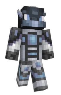 Front of TNA's skin