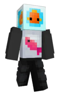 Front of fliryu's skin