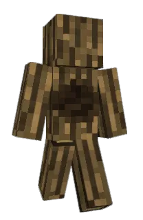 Front of megakid21's skin