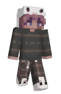 Front of lnsignia's skin