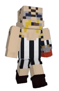 Front of AALLP's skin