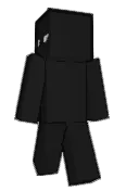 zywk_