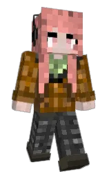 Slim Minecraft skin
