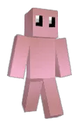 cardXD