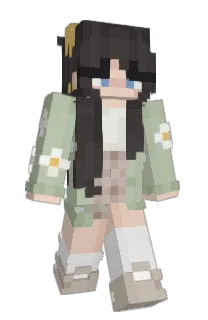 Front of Minecraft skin