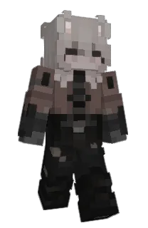 Front of ffawkes's skin