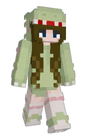 Skin preview