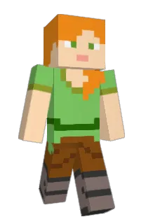 Front of Dashanerocket's skin