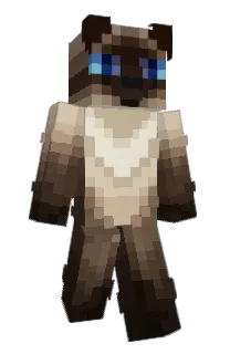 sourskittss's Minecraft skin