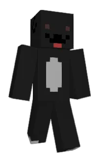 elmachogringo's Minecraft skin