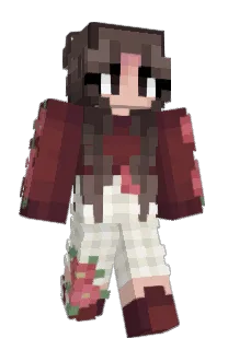 Front of Skyhigh17's skin