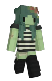 Front of Minecraft skin