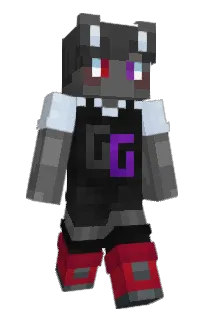 Front of InFGG's skin