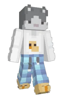 Front of VHS099's skin