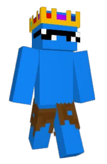 Front of TrashRS's skin