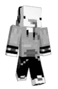 Novicion
