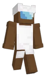 Minecraft skin — Classic model