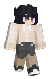 Front of Soppix's skin