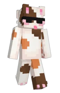Front of okCat's skin