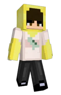 Front of Minecraft skin