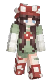 Skin preview
