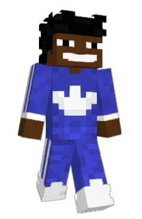 Front of siebrx's skin