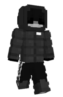 Front of H_Q's skin