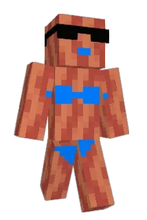 53101 Minecraft avatar full body