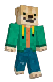 Skin preview