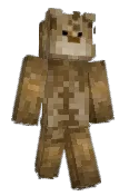 Tcddy23