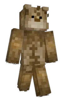Front of Tcddy23's skin