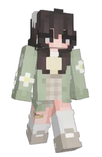 sopinhaa's Minecraft skin