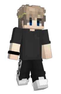 Front of 44JV's skin