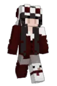 PocketSage