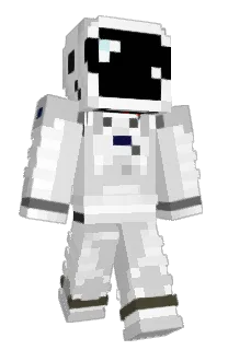 Front of Ol9Dumb's skin