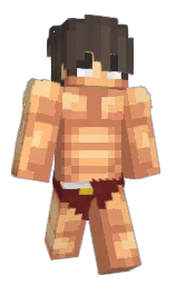 Inksock's Minecraft skin wearing the Migrator cape
