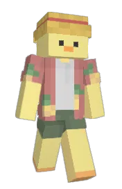 Skin preview
