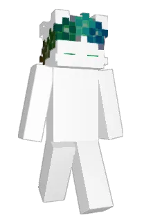 Front of shushi123's skin