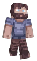 Minecraft skin — Classic model