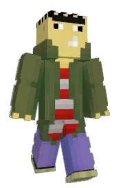 Skin preview