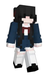 Front of zwrp's skin