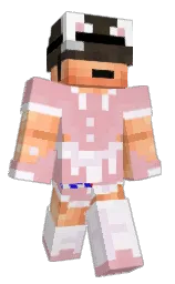 Classic Minecraft skin